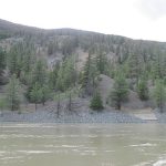 Eagle Glassheim Feature: Finding Gold Mountain on the Fraser River