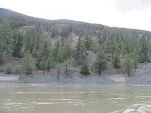 Eagle Glassheim Feature: Finding Gold Mountain on the Fraser River